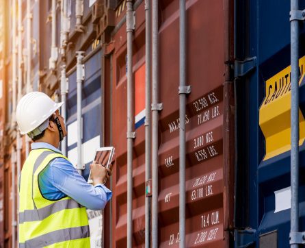 Customs officer looking at large shipping containers